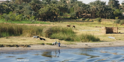 Nile Egypt